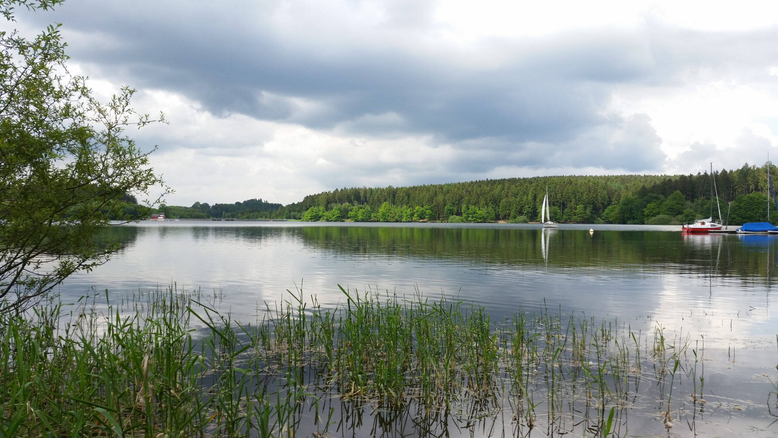 Blick über die Brucher Talsperre mit einer segelnden Jolle, bewaldetem Ufer und Schilf im Vordergrund